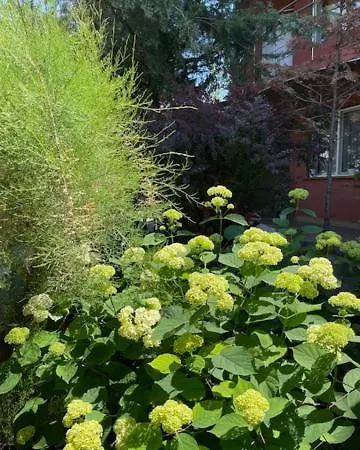 ホームステイ La Famiglia