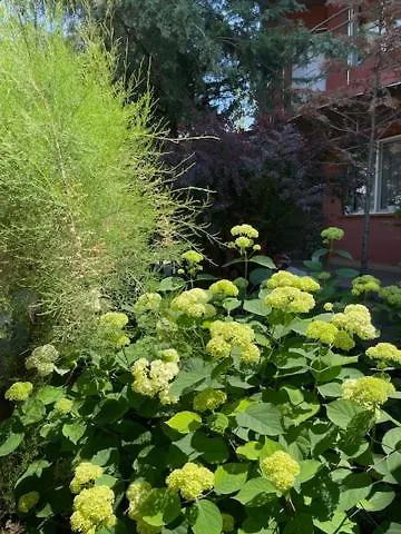 בית אירוח La Famiglia