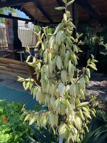 La Famiglia בית אירוח *
