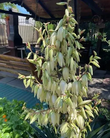 La Famiglia Kwatera prywatna *