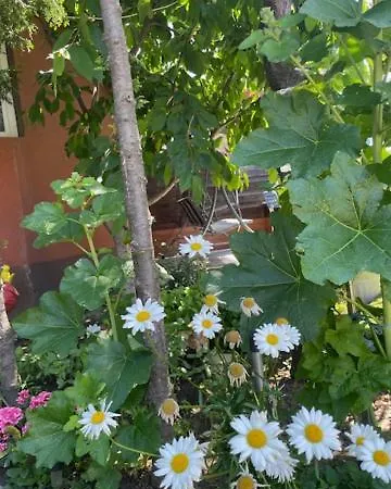 La Famiglia Homestay Eforie Nord